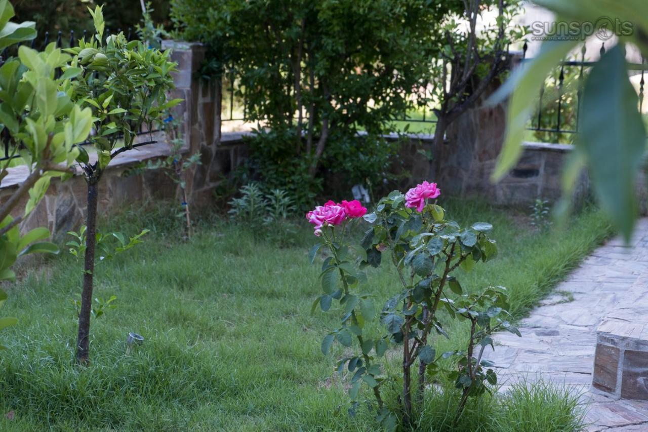 Villa Konstantina Petrití Dış mekan fotoğraf